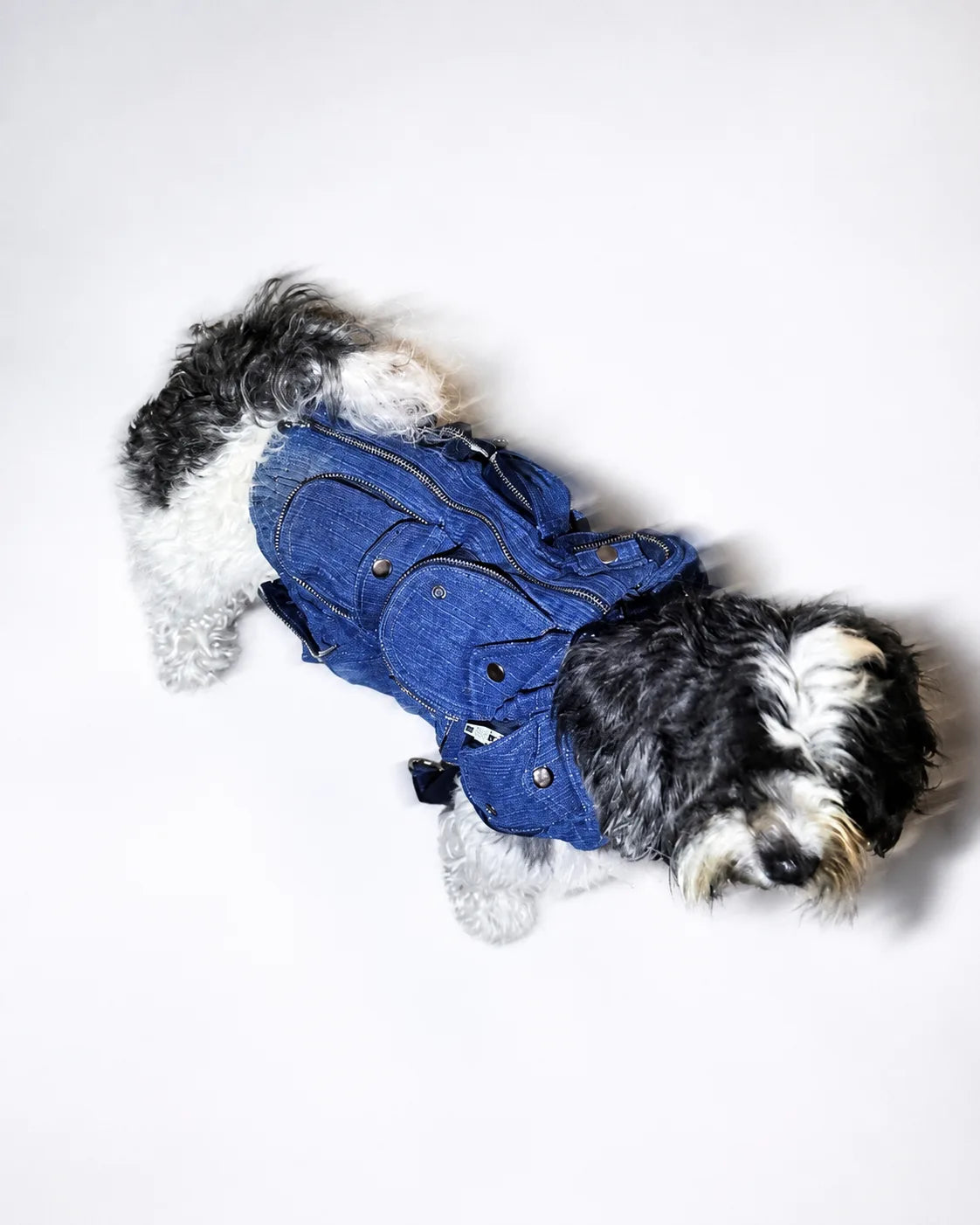 The Pockets of Love Utility Pet Jacket