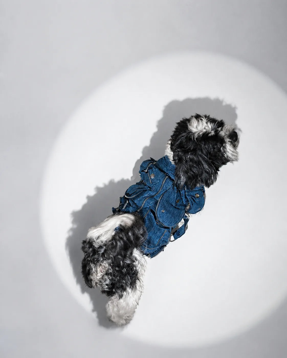 The Pockets of Love Utility Pet Jacket