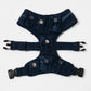 The Pockets of Love Harness, Collar and Leash Set