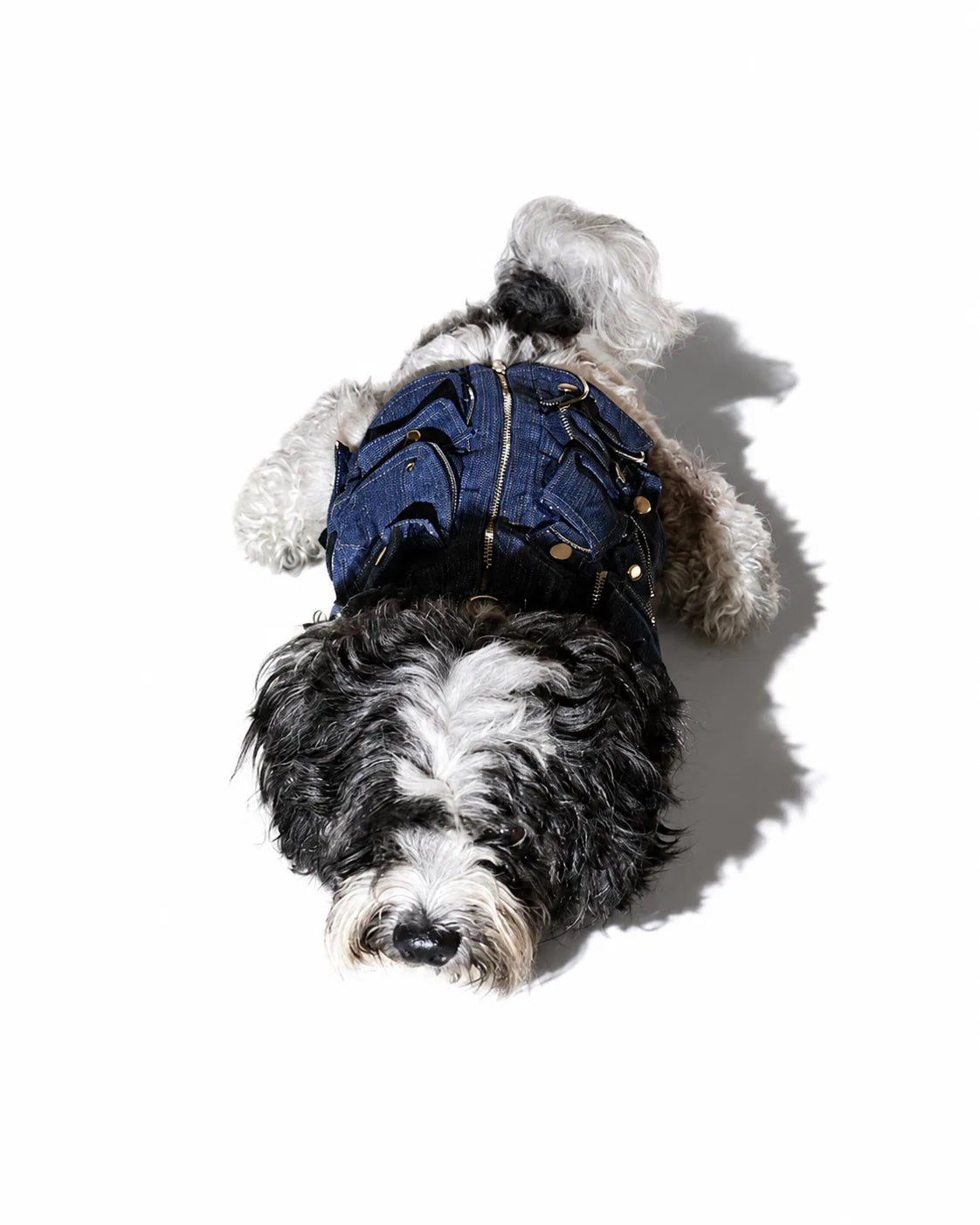 The Pockets of Love Utility Pet Jacket
