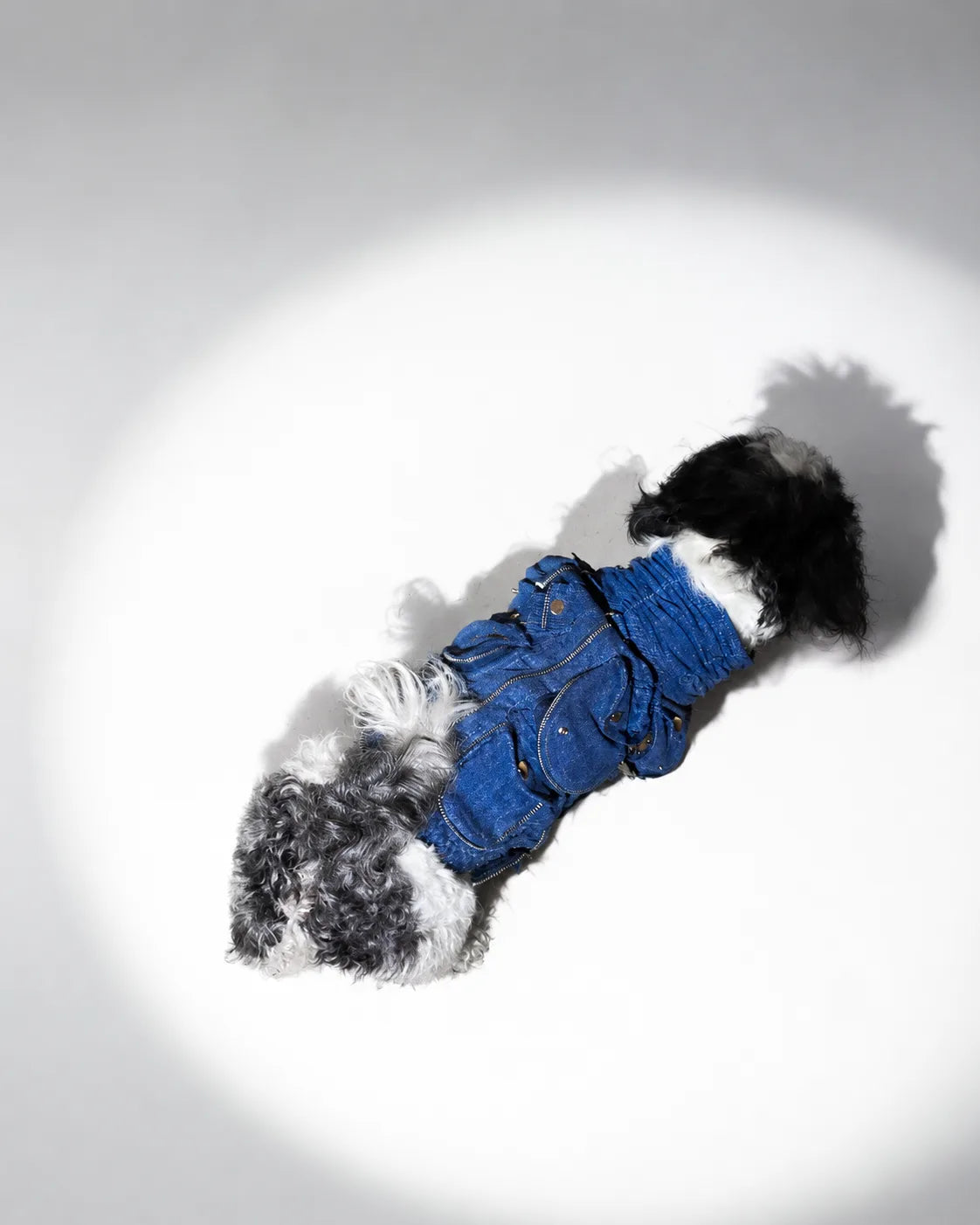 The Pockets of Love Utility Pet Jacket