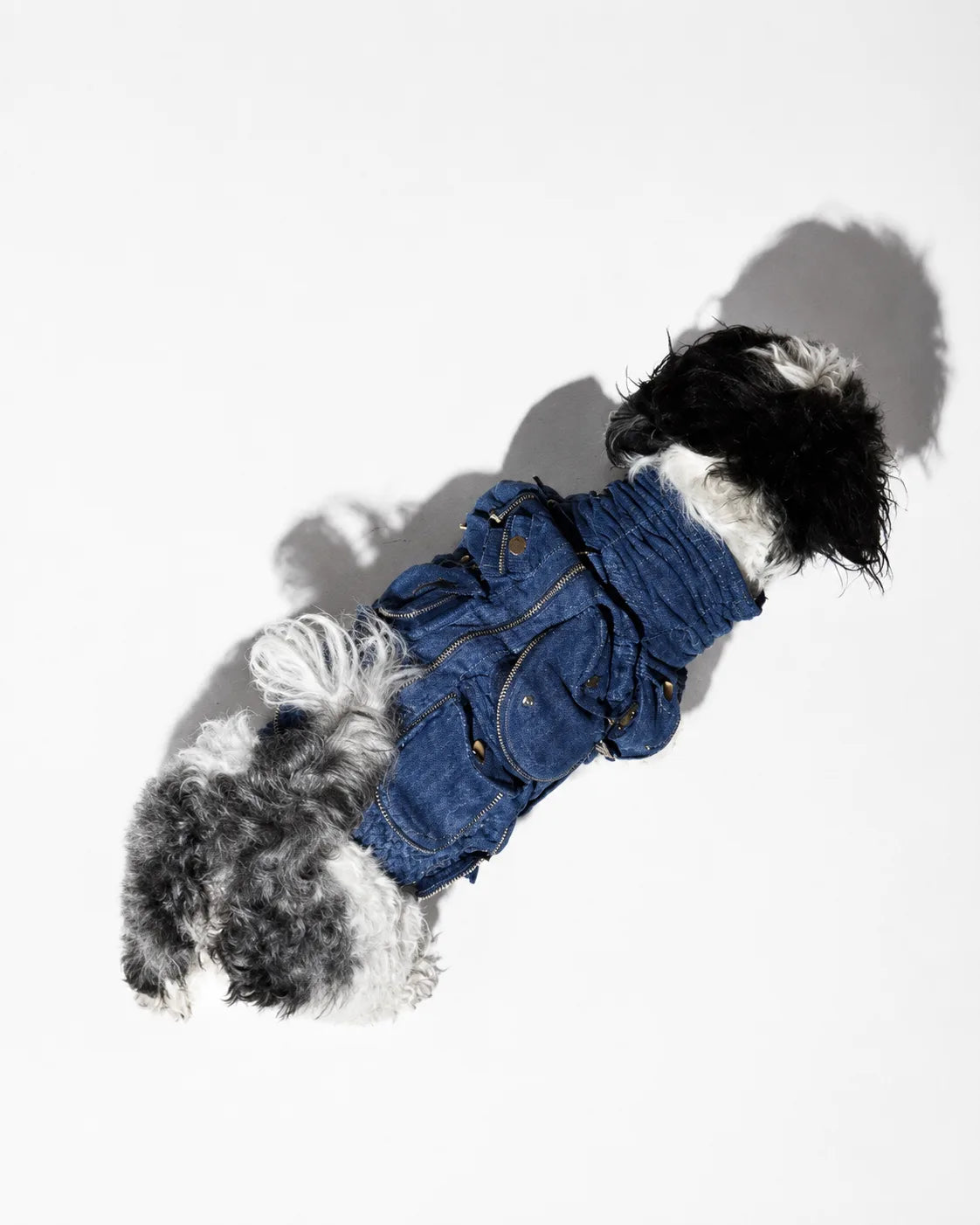 The Pockets of Love Utility Pet Jacket