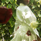 The Bleeding Heart Co-ord
