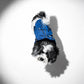 The Pockets of Love Utility Pet Jacket