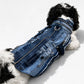 Fragments of Us Jacket with Patched Pocket