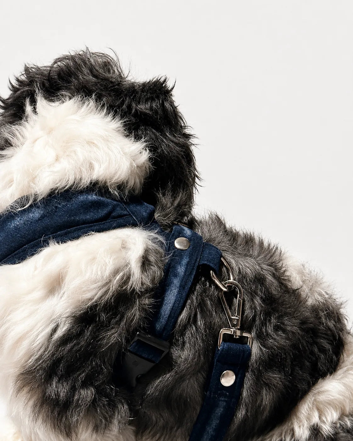 The Pockets of Love Harness, Collar and Leash Set