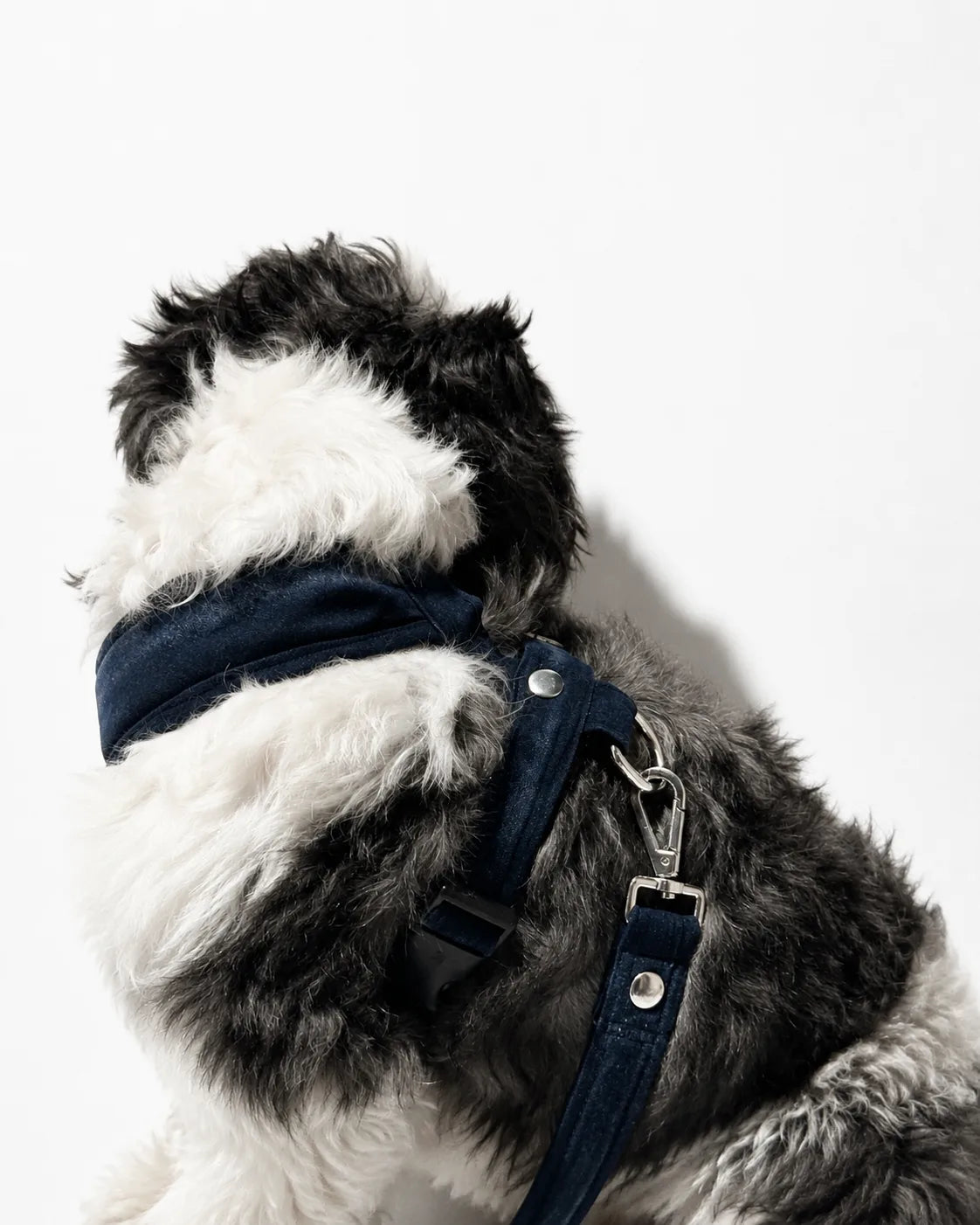 The Pockets of Love Harness, Collar and Leash Set