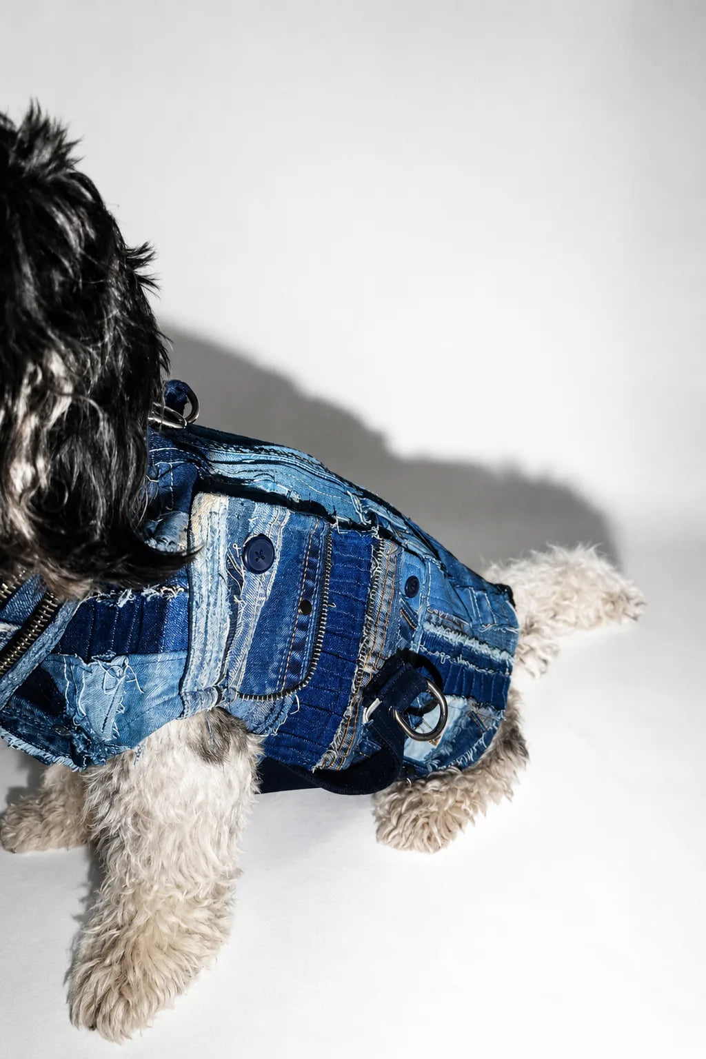 Fragments of Us Jacket with Patched Pocket