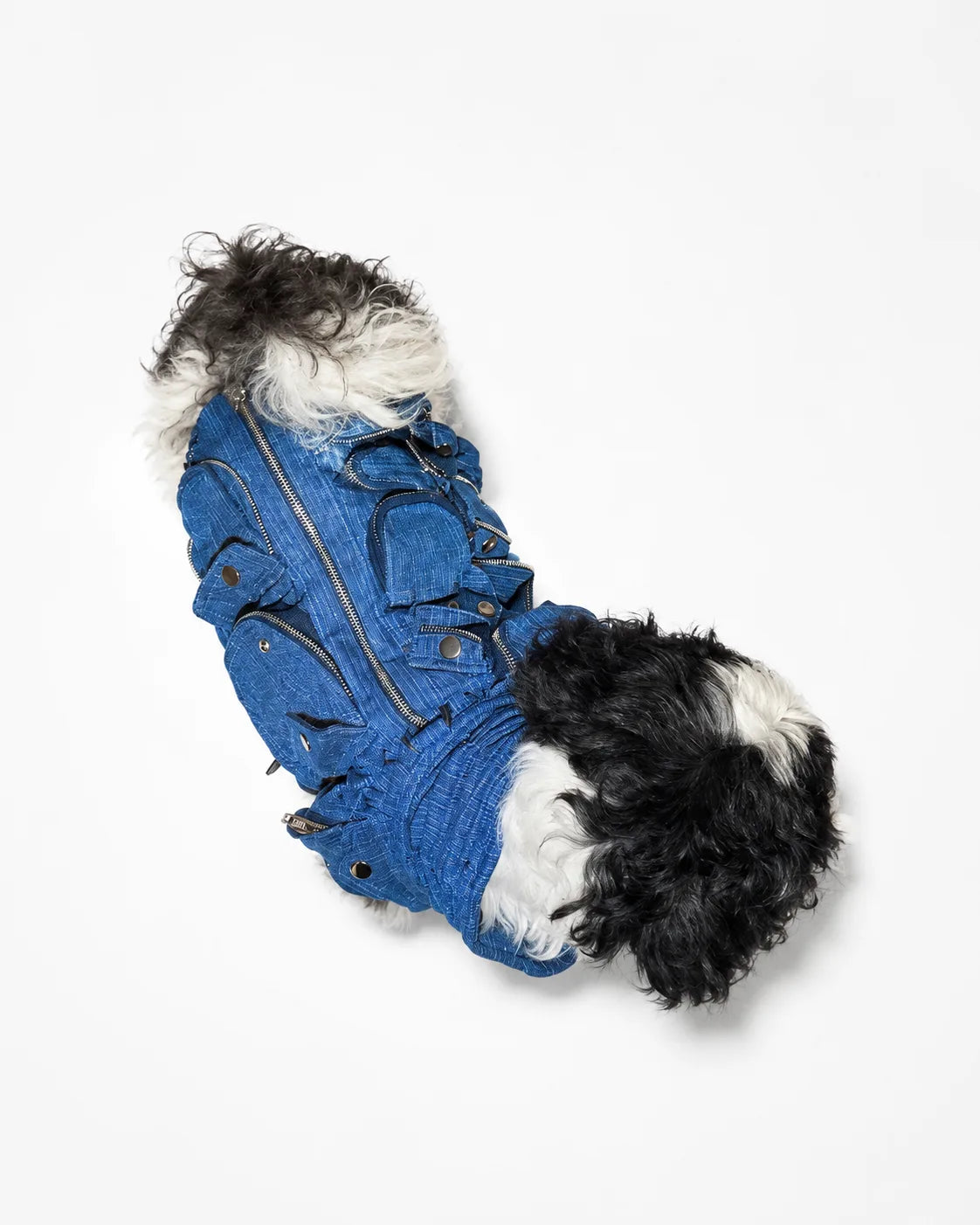 The Pockets of Love Utility Pet Jacket