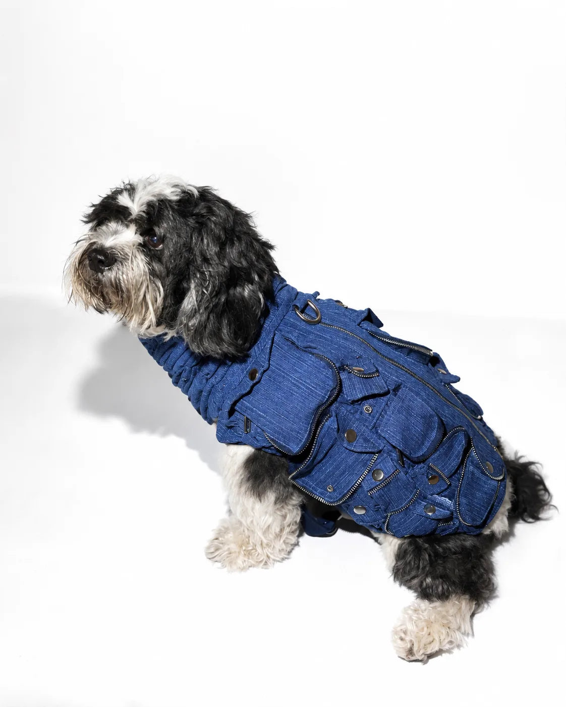 The Pockets of Love Utility Pet Jacket