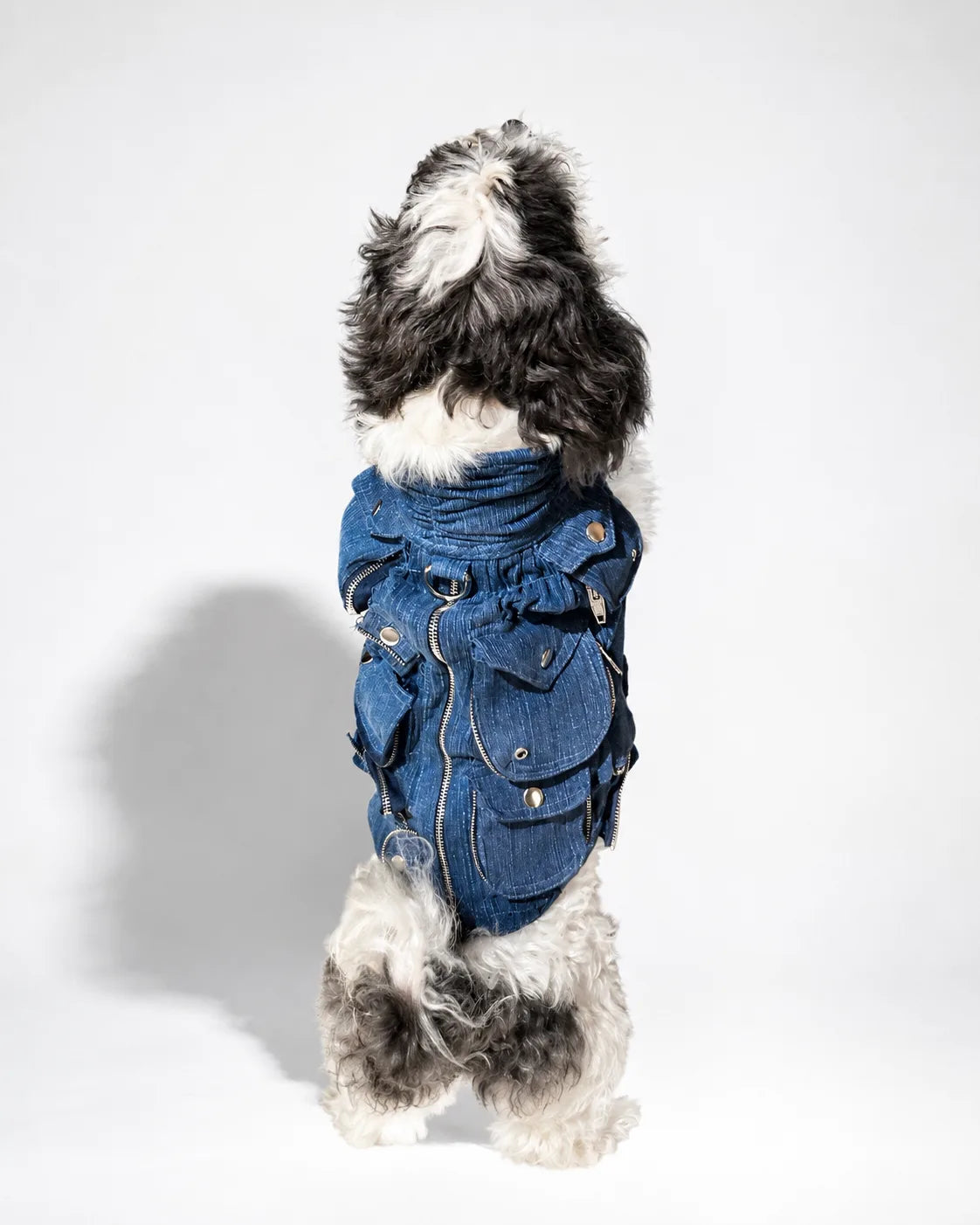 The Pockets of Love Utility Pet Jacket