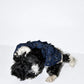 The Pockets of Love Utility Pet Jacket