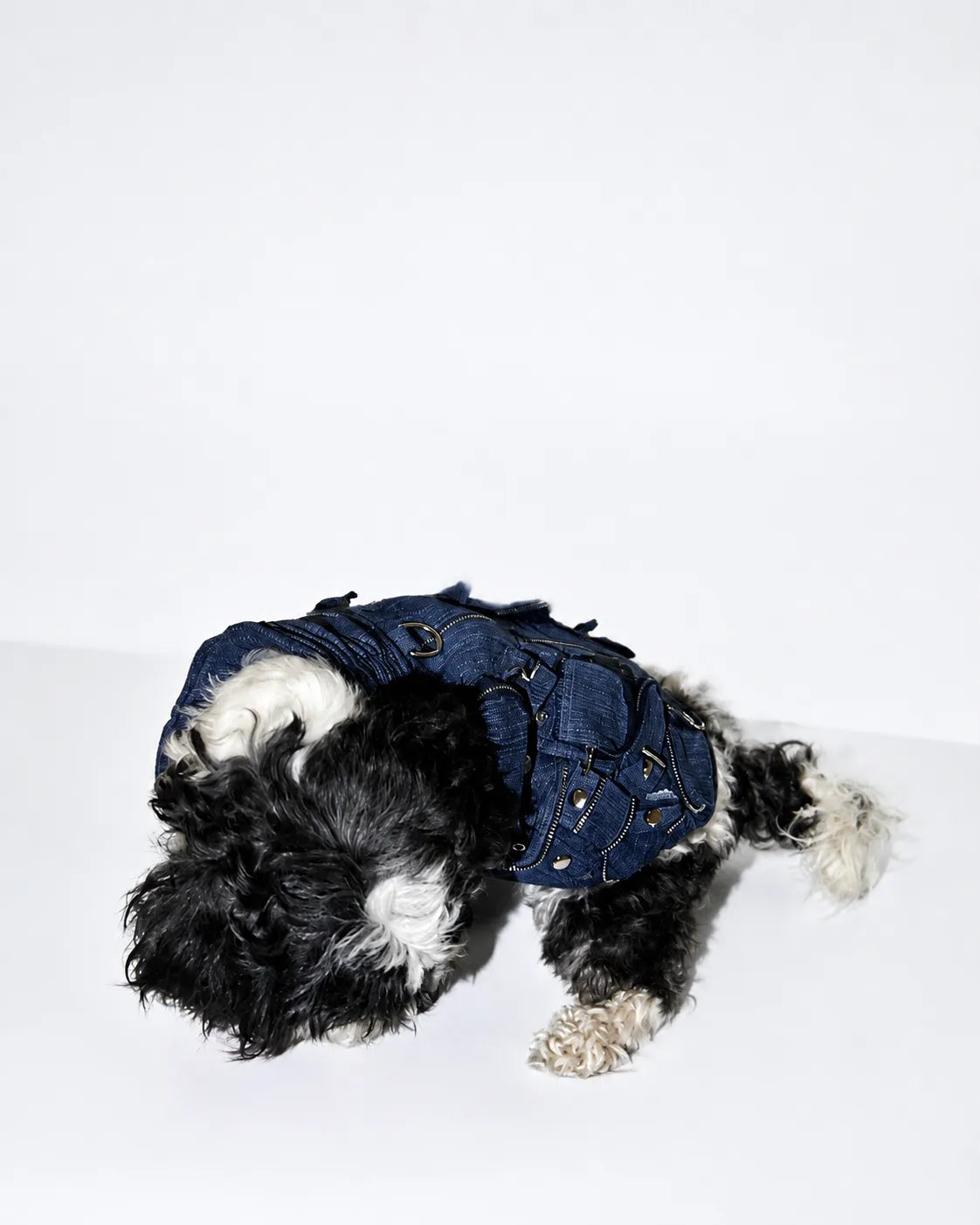 The Pockets of Love Utility Pet Jacket