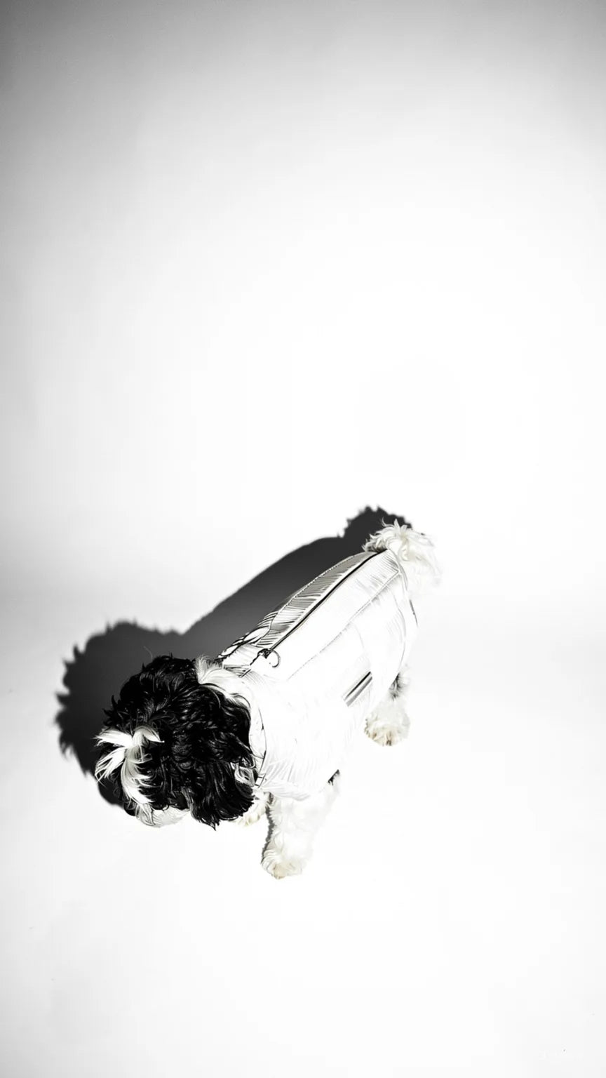 The Scarline Ivory Jacket