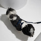 The Pockets of Love Harness, Collar and Leash Set
