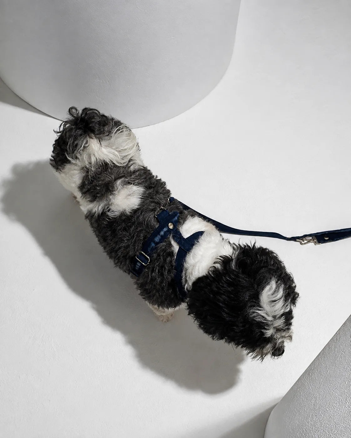 The Pockets of Love Harness, Collar and Leash Set