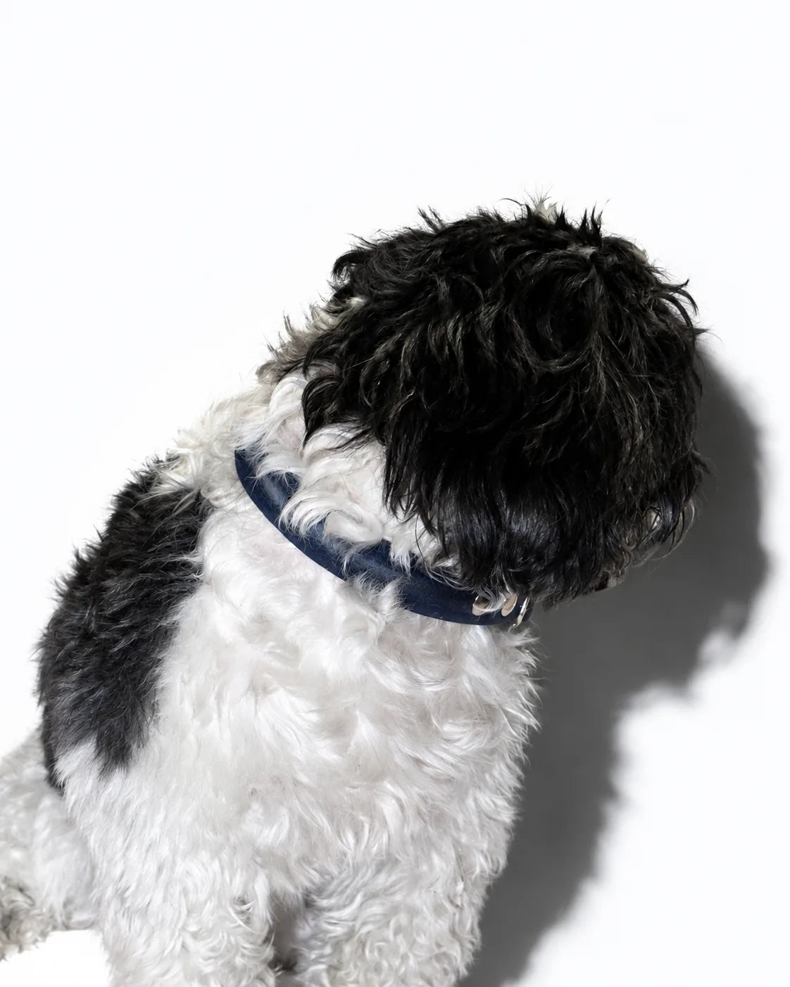 The Pockets of Love Collar
