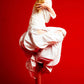 The Ivory Holed Shirt and Skirt Set