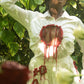 The Bleeding Heart Co-ord