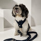 The Pockets of Love Harness, Collar and Leash Set