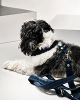 The Pockets of Love Harness, Collar and Leash Set