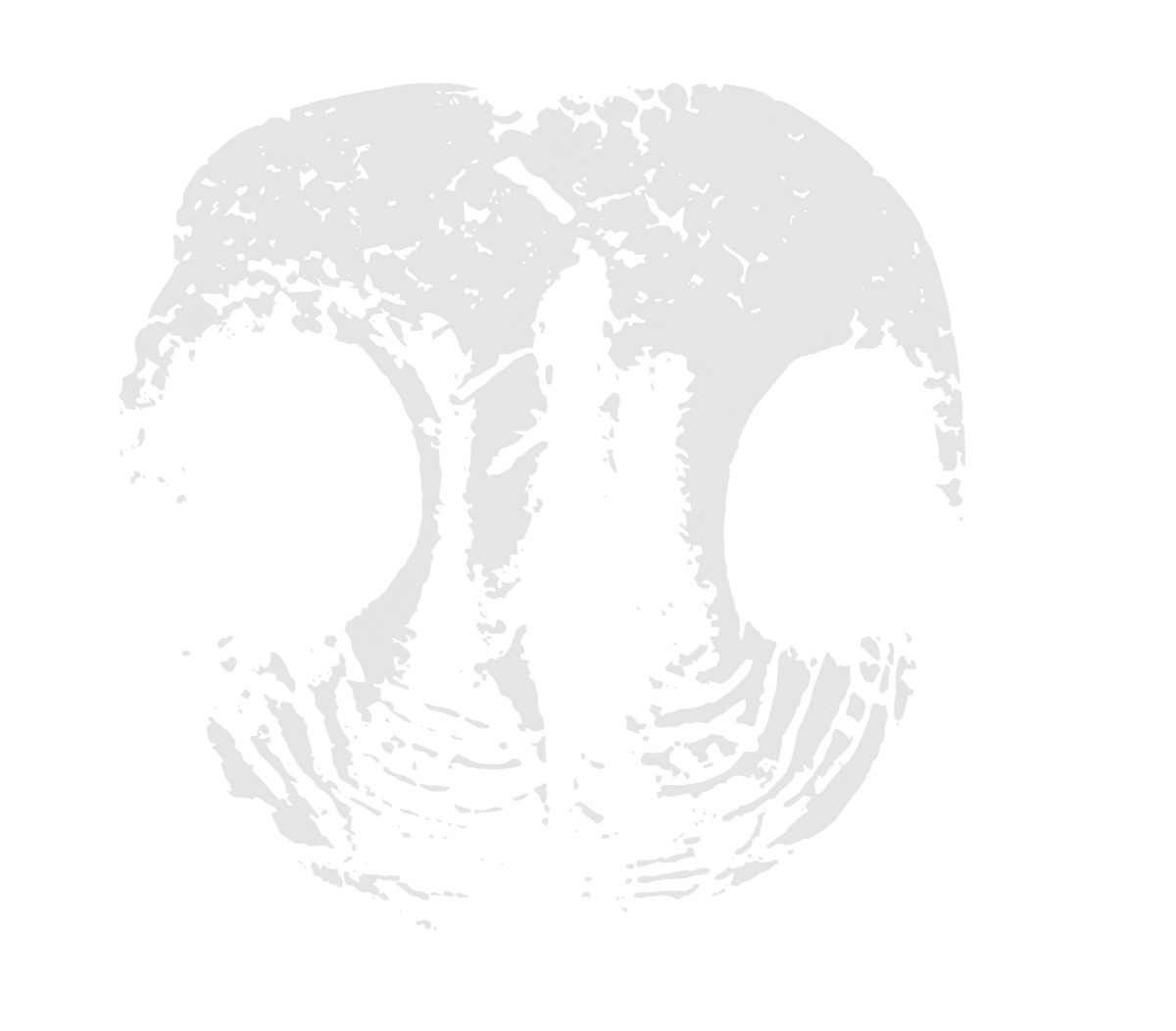 A light gray skull graphic with a distressed, textured finish on a solid white background.